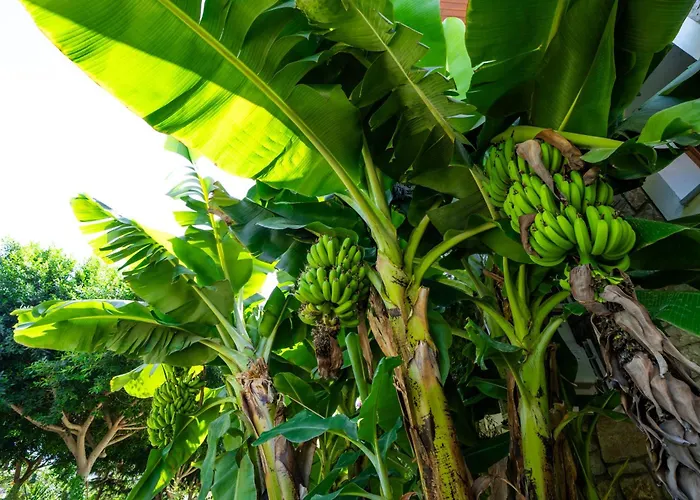 Hotel Karaincir Datca 3*